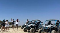 Ultimate Buggy Experience in Palmeraie & Hotel Pickup Marrakech