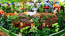 Dubai Butterfly Garden Colorful Wonderland of 15000 Butterflies