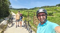 From Porto: e-Bike Tour in Amarante and a Green Wine Winery