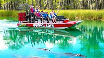 Miami: Everglades Airboat and Wildlife Experience