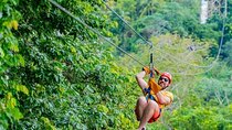 Dual Zipline Adventure in Punta Cana