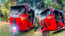 Sigiriya to Polonnaruwa Tuk Tuk Day Trip Explore Ancient Ruins