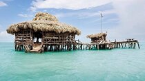 YS Falls Adventure and The Pelican Bar
