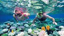 Manta Ray Snorkeling in Nusa Penida Top Spots and Lunch Included