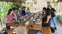 Rosso and Brunello di Montalcino Wine Tour Including Lunch and Visit to 2 Local Wineries