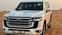 Evening Desert Safari Adventure in the Arabian Desert