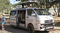 Nairobi National Park Daily half day Game drives