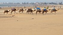 Full Day Tour To Essaouira from Marrakech Mogador