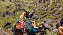 Atlas Mountains Day Trip from Marrakech with Lunch in Nature