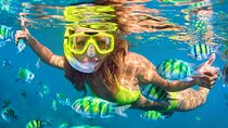 Best Snorkeling Trip at Blue Lagoon Bali