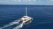 Phuket: Racha & Coral Island Catamaran Tour with Foam Party