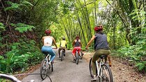 Blue Mountain Bicycle Tour Experience