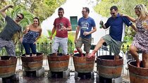Full Day Wine Tour in Stellenbosch with Afrivista