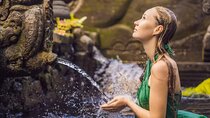 Ubud Experience Wildlife Temples and Nature Highlights
