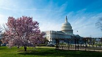 Washington DC Private Scavenger Hunt Tour