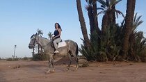 Palmeraie Grove Horse Ride 2 Hour Trip with Transfer - Marrakesh