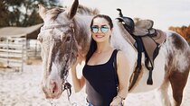 Experience Horse Riding in Palmeraie Grove & Transfer - Marrakesh