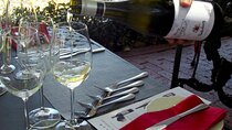 Paarl, Franschhoek and Stellenbosch Vineyards Wine Tour