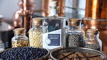 Gin Tasting Experience at Imagine Spirits Distillery