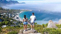Premier Full Day Cape Tour Table Mountain and Boulders Beach