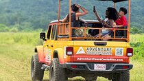 4x4 Happy Jungle Booze Cruise