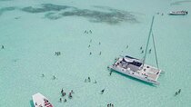 Swim and Relax in Tropical Paradise to Saona Island 
