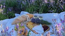 Lavender Fields and Hilltop Villages with Car and Private Guide