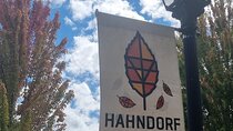 Penfolds and Hahndorf Shared Tour Wine Tasting and Lunch