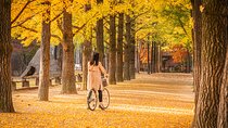 Seoul Vicinity 5 in 1: Nami Island, Garden of Morning Calm & More