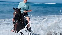 Private Bali Horse ride