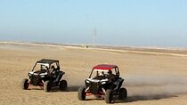 Exhilarating Buggy Adventure in Palmeraie & transfer - Marrakesh