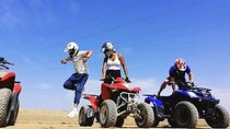 ATV Quad Adventure and Camel Ride at Palmeraie Desert - Marrakesh