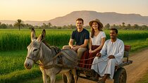 Traditional Donkey-Drawn Cart Tour to Luxor's Highlights