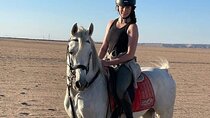 Sunrise Horse Riding 2H Sea and Desert with Transfer Hurghada