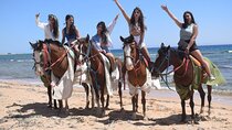 2H Sunrise Horseback Ride Sea & Desert With Transfer - Hurghada