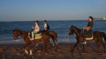 Sunrise Horse Ride 2-Hour Desert and Sea with Transfer – Hurghada