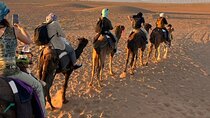 Private Zagora Desert Escape with Overnight Camp