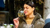 Viña Concha y Toro: Premium Wine Center Tour