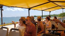 Cancun City Tour by Downtown and Turistic Hightlights on Open Bus