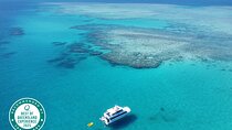 Cairns: Small Group | Outer Reef Snorkel & Dunk Island