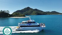Cairns: Explore & Hike Dunk Island - Full Day Tour 