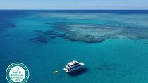 Cairns: Semi-Private | Outer Reef Snorkel & Dunk Island