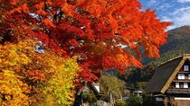 Takayama Day Trip with Shirakawa-go and Kobe Beef Lunch
