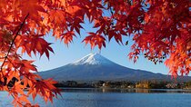 Tokyo: Mt. Fuji & Lake Kawaguchiko 1Day Bus Tour without Lunch