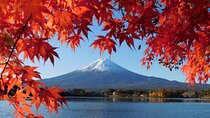 Tokyo: Mt. Fuji, Oshino Hakkai and Gotemba Outlets 1Day Bus Tour