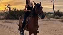 1-Hour Palmeraie Horse Ride with Transfer - Marrakesh