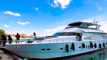 Bosphorus Luxury Lunch Cruise & Black Sea Swimming Experience