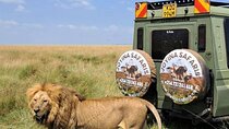 3Days 2Nights Masai Mara group Safari, Midrange camp &4WD 