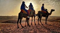 Dinner Experience Camel Ride Tour with Sunset Views 