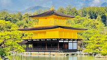 Kyoto Highlights Private Day Tour with English speaking Guide